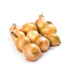 Vegetables on a white background